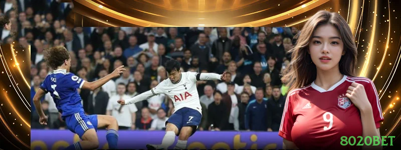 Controles de paJogonto e BRL em 8020bet